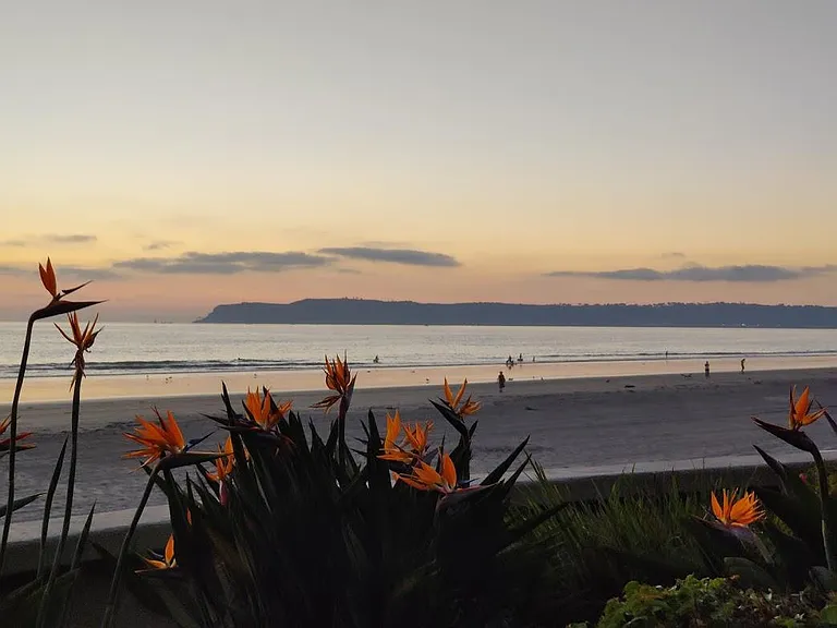 Sunset on the beach in front of the building