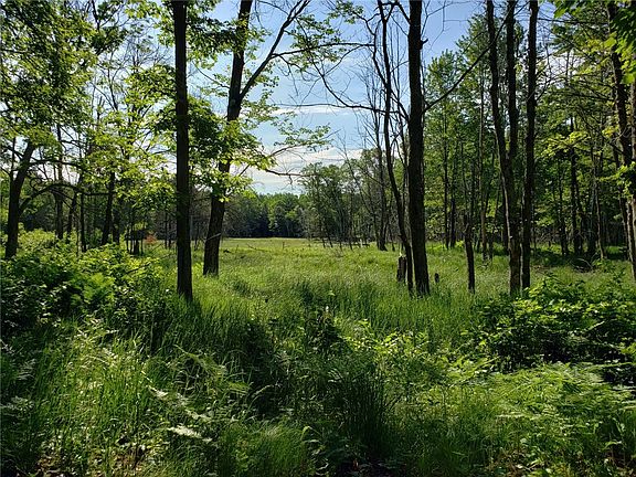 2nd image of 28914 Brozie Road