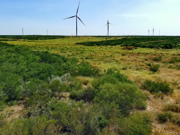 TRACT 6 (80AC) San Pablo Dr, Bruni, TX 78344