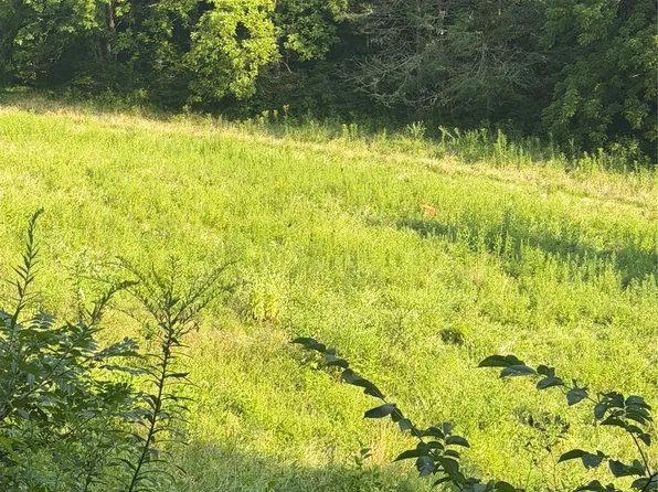 TBD Lt 39 Trout Creek Road, Glenville, NC 28736