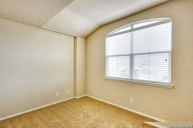 6343 Palmetto Way — Photo 21