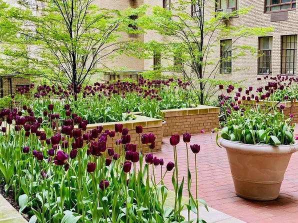 25 Central Park West image 19 of 21