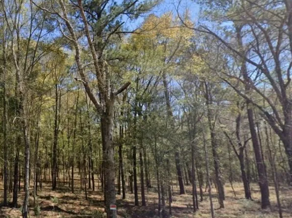 0 Ferrell Rd, Red Level, AL 36474