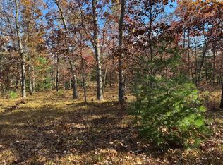 PARCEL 9 E County Line Rd, Free Soil, MI 49411