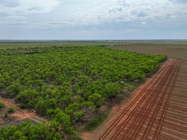 County Road 134, Old Glory, TX 79540