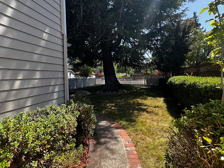2463 Louis Rd — Photo 39