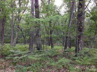 Irons, Irons, MI 49644