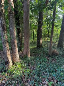 LOT 8 Catoosa Woods Dr, Lancing, TN, 37770
