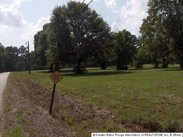 2nd image of State Highway 447 S