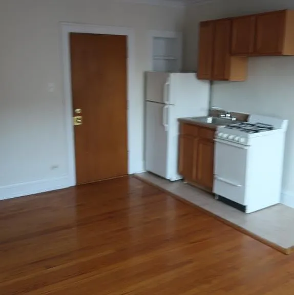 1712-20 W Albion Ave #1716-3H — Photo 9