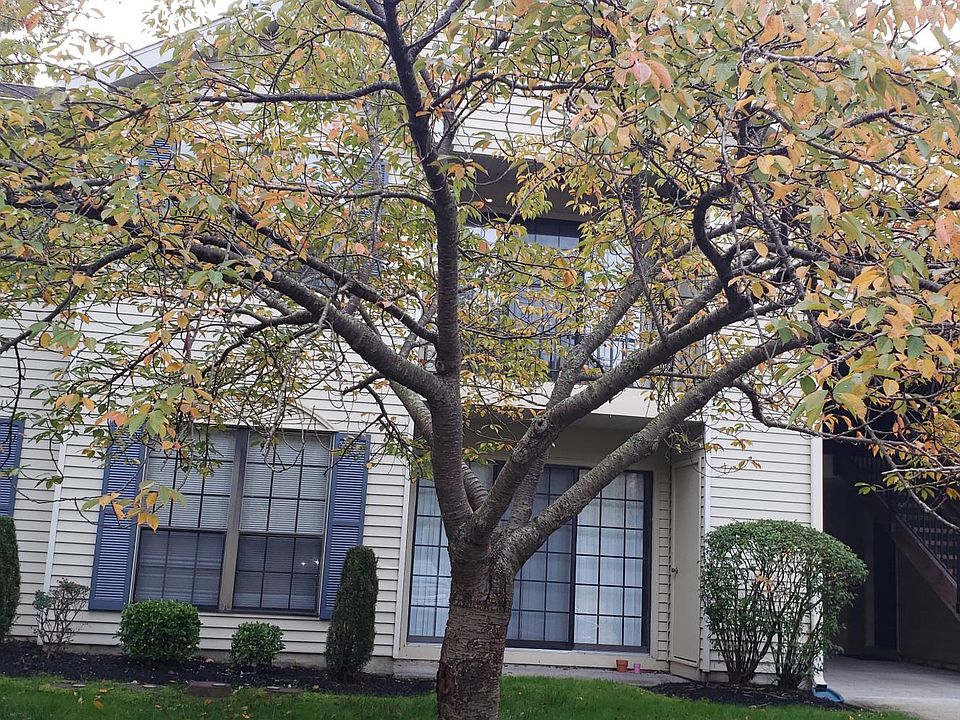 1st image of 62 Sussex Pl #802