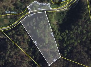 Tbd Rice Creek Rd, Flag Pond, TN 37657