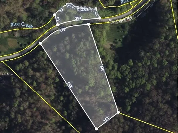 Tbd Rice Creek Rd, Flag Pond, TN 37657