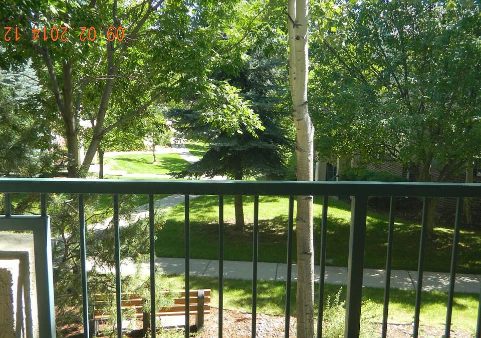 Deck View