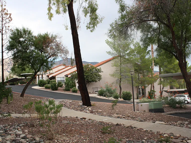6451 N Tierra De Las Catalinas — Photo 20