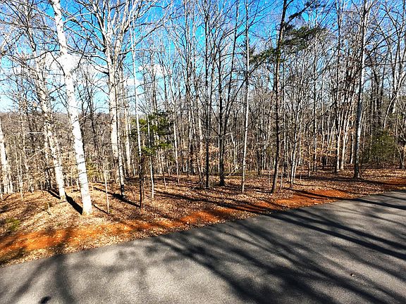 4th image of LOT 19 Gap Bridge Rd