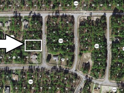 10943 N Walk Ter, Citrus Springs, FL, 34433