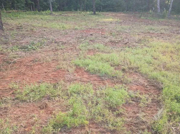 10717 County Road 4149, Tyler, TX 75704
