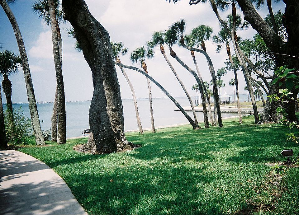 beautiful grounds