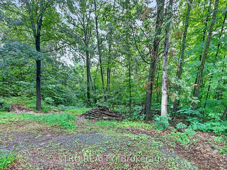 2376 Kinburn Side Rd — Photo 46