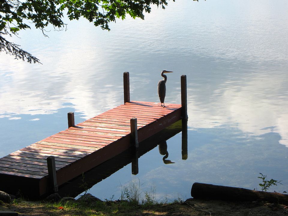 2nd image of 71 Road Between The Ponds