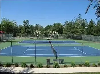 Tennis anyone?