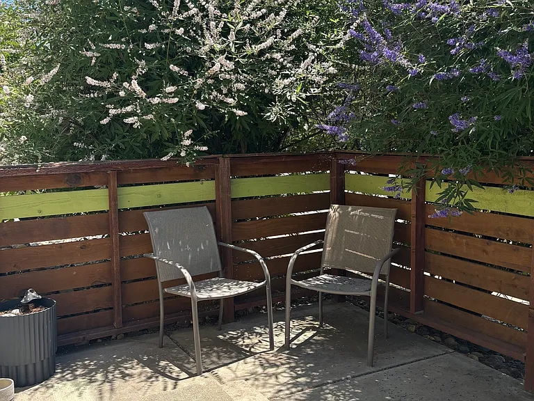 Back patio is a sanctuary full of light in spring and early summer and provides privacy and much needed shade.