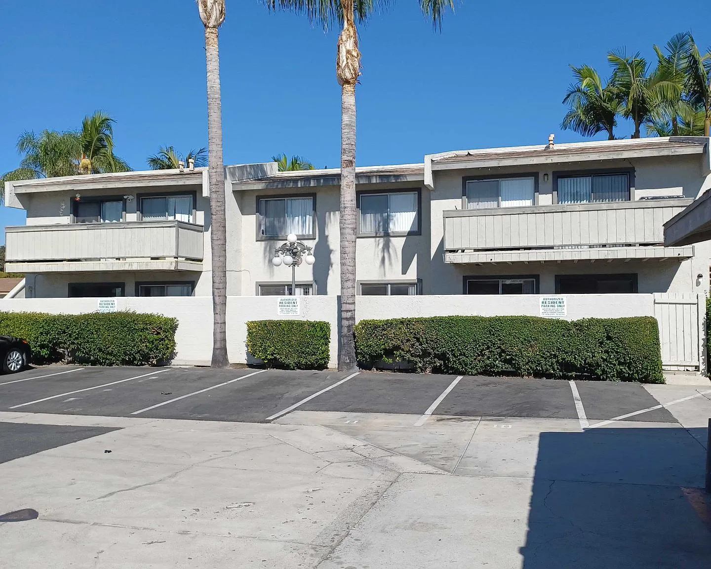 The Palms — Photo 3