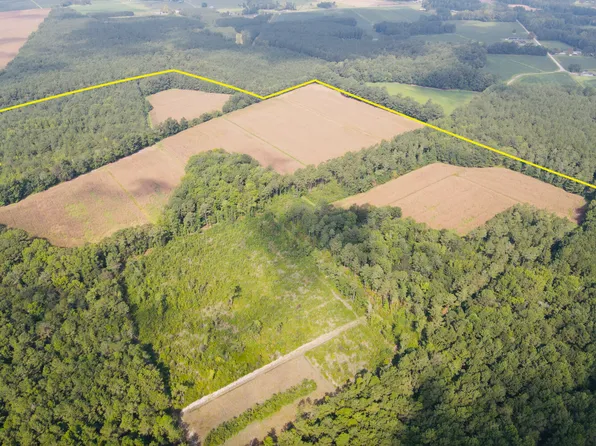 0 Fresh Branch Rd, Cerro Gordo, NC 28430