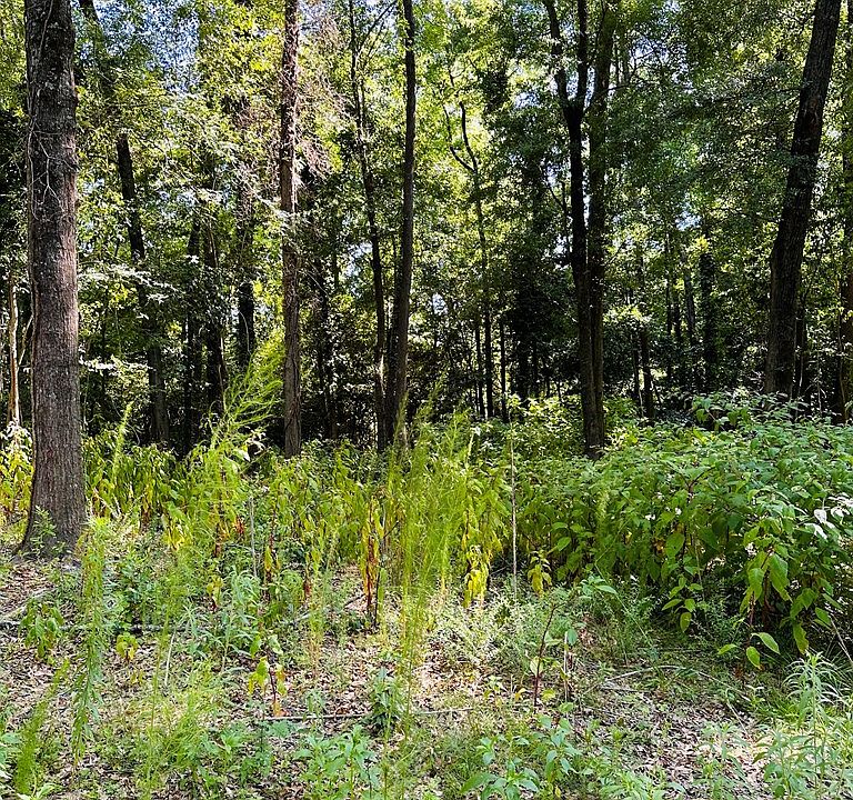 2nd image of 3742 E Forrest Rd