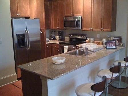 2nd image of 1201 Canal St APT 365