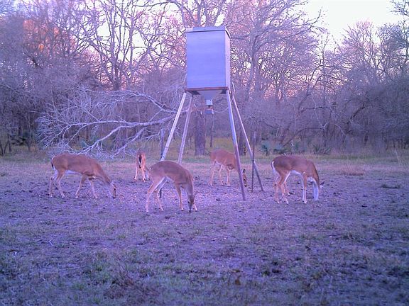 3rd image of 1807 County Road 227