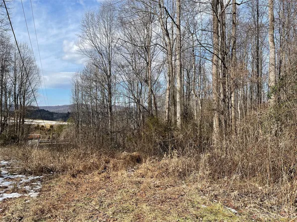 Traphill Rd, Hays, NC 28635