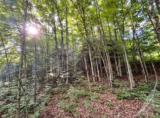 LOT 4 S Greenbush Rd LOT 4, Erin, NY 14838