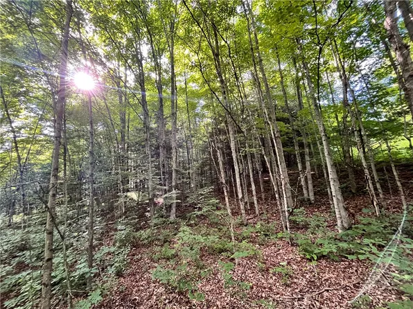LOT 4 S Greenbush Rd Lot 4, Erin, NY 14838