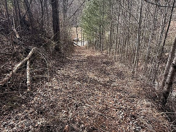 2nd image of 0 Back Of Beyond Rd