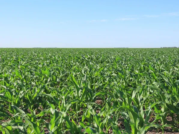1 SE Corner Of 45th Ave, Northeast And 83rd Saint Northeast Rolette, ND 58353