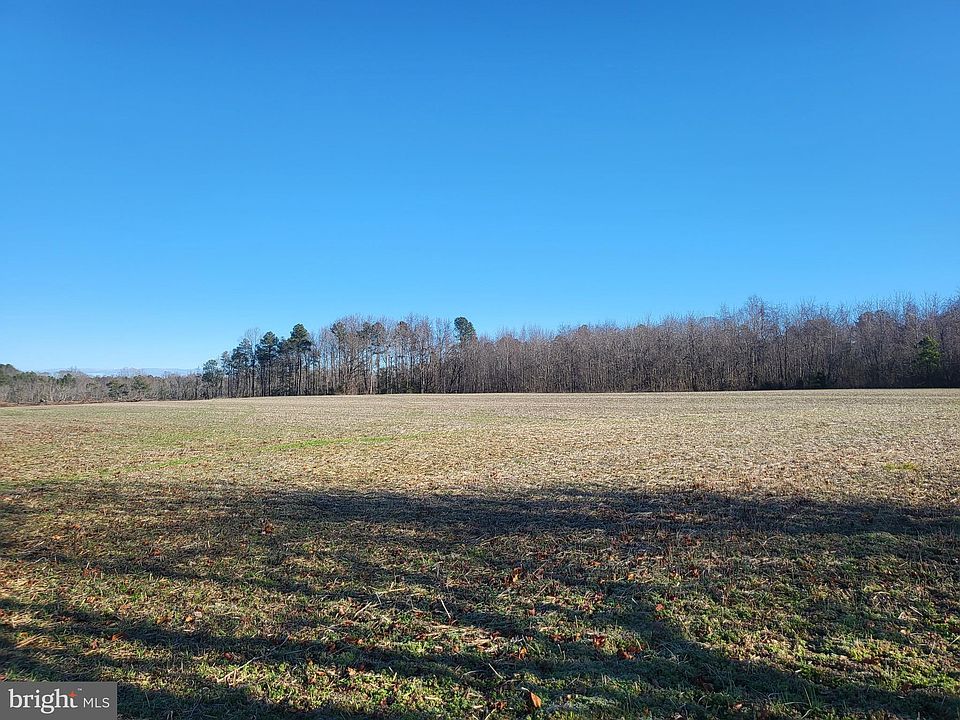 2nd image of Forest Rd