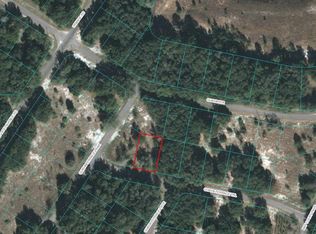 0 Guava Terrace Pl #16, Ocklawaha, FL 32179