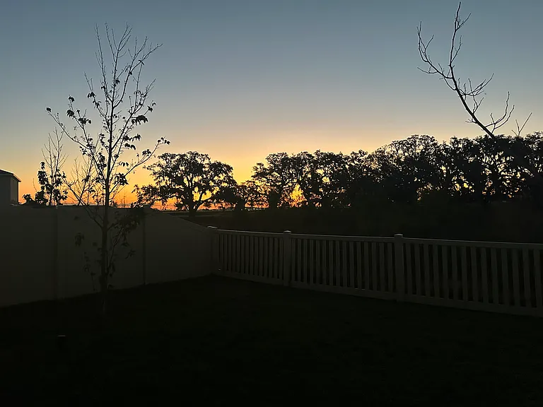 Morning view from backyard