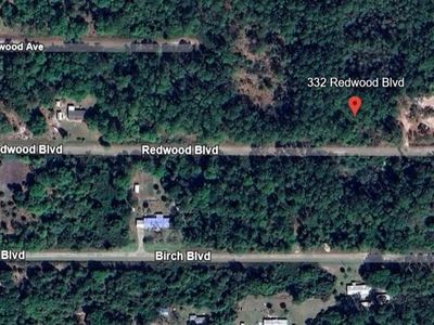 332 Redwood Blvd #37, Georgetown, FL, 32139