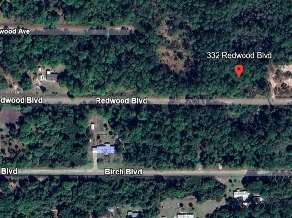 332 Redwood Blvd #37, Georgetown, FL 32139