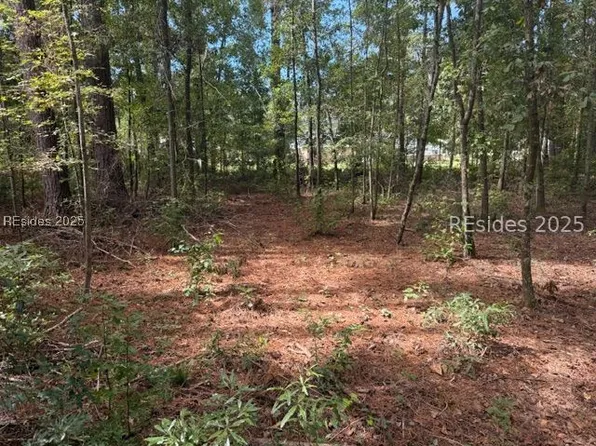 169 Red Breast Ln, Ridgeland, SC 29936