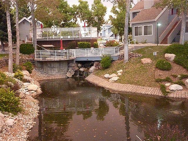 beautiful stream and pond