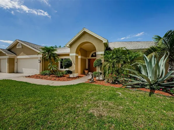 4452 Bardsdale Dr, Palm Harbor, FL 34685