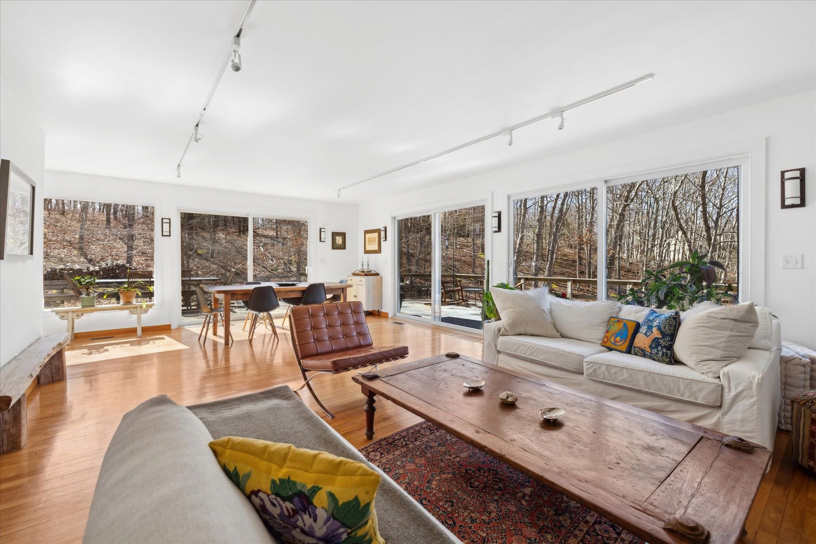  Light filled Open Plan Living
