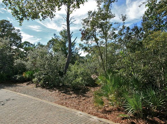 4th image of 12130 Anchor Cove Dr