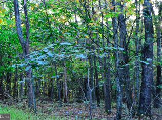 LOT 2 Smokey Shire, Cross Junction, VA 22625