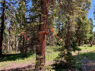 147 Ridge Rd, Cimarron, CO 81220