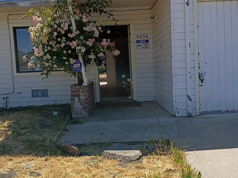 Canyon Rd — Photo 1